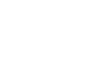 Braun Solar GmbH